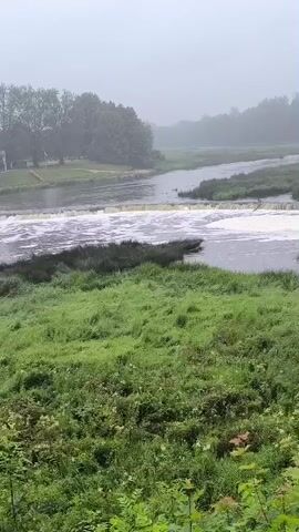 The video shows a wide river with a waterfall. The sky is overcast, and there is a light mist. The riverbanks are covered with lush green grass and trees. In the distance, there are more trees and hills. The waterfall is shallow and wide, with a foamy appearance as the water cascades over it. There are two individuals visible in the water near the waterfall. The overall scene is natural and serene.