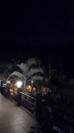 Peaceful evening captured with sleeping cat in Thai village