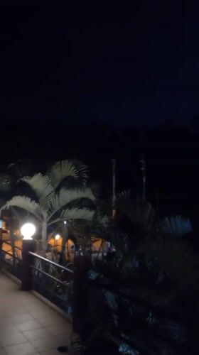 Peaceful evening captured with sleeping cat in Thai village