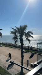 Tourist documents Batumi coastal scenes and modern architecture