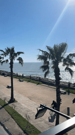 Tourist documents Batumi coastal scenes and modern architecture