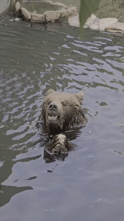 Wildlife spotted at Fasano zoo during morning hours