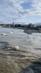 Morning tour of Sochi's coastline and harbor area documented