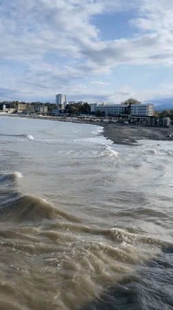 Morning tour of Sochi's coastline and harbor area documented