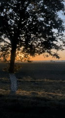 Sunset captured over Moldovan farmland from moving vehicle