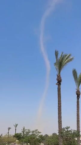 A dust devil, a small whirlwind of dust and debris, is visible against a clear blue sky. The dust devil extends from the ground upwards into a thin, winding column. Two tall palm trees with fronds are positioned to the right of the dust devil. In the background, several smaller palm trees and green foliage are visible, along with some buildings or structures. The scene appears to be outdoors on a sunny day.
