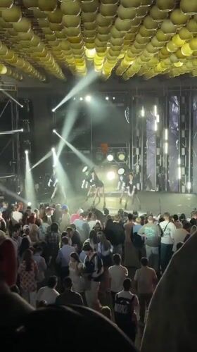 Feathered performer dazzles crowd during evening show in Yerevan