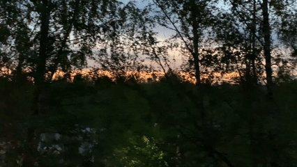 Evening moments captured in Chaikovsky: twilight trees, elderly woman resting