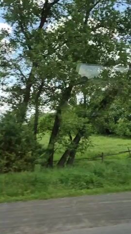 The video captures a roadside view of a rural landscape on a sunny day with scattered clouds. The foreground consists of a dirt or gravel road. To the right of the road, a grassy field stretches out, bordered by a rustic wooden fence. Trees and vegetation line the background, with a prominent large tree dominating the left side of the frame in the initial seconds. As the view pans, a wooden utility pole becomes visible, followed by glimpses of houses nestled among the trees. The overall scene depicts a tranquil countryside setting.