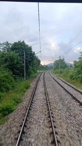 The video shows a perspective from a moving train, looking forward along parallel railway tracks. Dense green trees and vegetation line both sides of the tracks. Overhead, there are electrical wires and support poles for the train's power supply. The sky is overcast with hints of sunlight breaking through the clouds in the distance, suggesting it might be dawn or dusk. The train tracks are made of gravel and steel rails. The movement of the train is visible through the slight blur of the surroundings and the rhythmic vibration implied by the camera's perspective.
