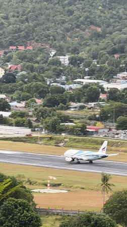 Planes and chickens: airport life on Ko Samui