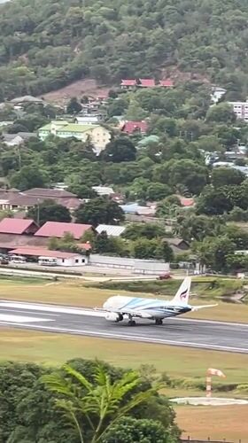 Planes and chickens: airport life on Ko Samui