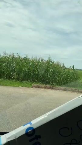 A video captured from inside a vehicle shows a view of a rural landscape. In the foreground, a partially visible white and gray object with blue lettering is present. The video pans across a road where a yellow motorcycle with a passenger is seen. Beyond the road, a vibrant green field stretches out, bordered by trees and some distant structures that appear to be buildings or huts. The sky above is cloudy. The video is short, lasting only a few seconds, and appears to be a continuous shot without any abrupt changes or edits.