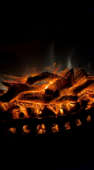 Domestic scenes of cats, fireplace, flowers and cattle documented