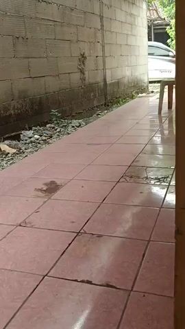 The video shows a narrow outdoor walkway paved with pink tiles. A textured concrete block wall runs along the left side of the walkway. The ground beside the wall is covered with loose gravel and debris. In the background, a white car is parked, and a white plastic chair is visible. The walkway appears to be slightly wet, with some dark stains on the tiles. A white pipe protrudes from the wall. The scene is well-lit, suggesting it is daytime.