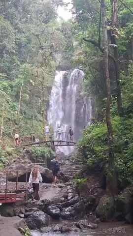 The video shows a waterfall surrounded by lush green foliage. Several people are visible on a pathway leading towards the waterfall. Some are crossing a wooden bridge, while others are walking up stone steps. The environment appears to be a natural park or jungle. The weather seems overcast or hazy.