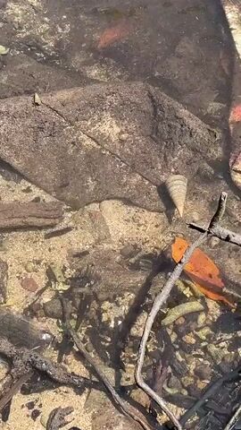 The video shows a shallow body of water with a sandy bottom. There are rocks, branches, and debris visible in the water, including a conical shell and an orange leaf. The water is clear enough to see the objects on the bottom. The scene appears to be a natural environment, possibly a beach or a riverbed.