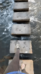 Afternoon activities captured around water features in Hrodna, Belarus