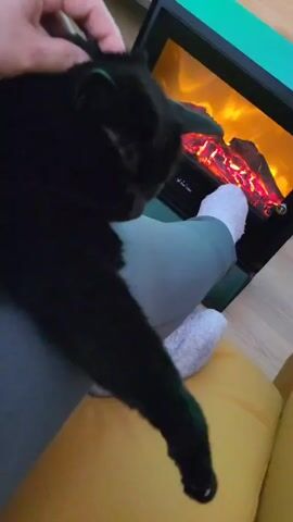 A hand gently strokes a black cat, which is sitting on the lap of a person seated on a yellow couch. The person is wearing grey pants and white socks. Next to them is a small electric fireplace with a simulated flame effect. The fireplace's frame changes color from green to blue at the top. The floor is wooden. The scene appears to be indoors, likely in a home.