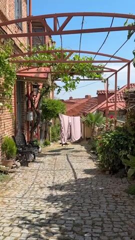 The video shows a sunlit, cobblestone alleyway between two buildings. The building on the left has a red brick wall and a dark metal bench. The building on the right has red tile roofs and is partially obscured by greenery. A metal trellis with grapevines runs overhead, casting shadows on the ground. Pink sheets are hanging on a clothesline in the middle of the alley. A black cat is walking away from the camera towards the right side of the alley. There are potted plants and flowers visible on both sides of the alley. The sky is blue and clear.