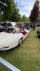 Vintage Mercedes, Lamborghini displayed at car show gathering