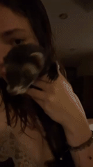 Woman plays with pet ferret during early morning hours