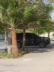 Routine Dubai neighborhood life captured in 31-minute documentation