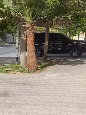 Routine Dubai neighborhood life captured in 31-minute documentation