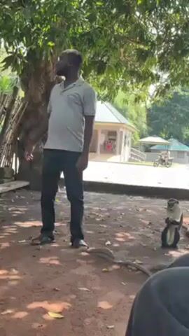A man in a gray shirt and black pants is standing and speaking to a group of people seated. He gestures with his hands. A monkey is sitting on the ground nearby, eating something. There are trees and small buildings in the background, and a motorcycle drives by. The ground is covered with dirt and leaves.