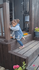 Backyard afternoon in rural Russia: toys, currants, and a big dog