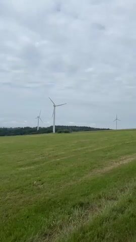 This is a vertical, wide-angle video clip of a rural landscape with multiple wind turbines. The scene is set in a grassy field, with rolling hills covered in trees in the background. The sky is overcast with soft, white clouds, suggesting a mild, possibly temperate climate. The time of day appears to be daytime, judging by the ambient light. There are no people visible in the frame. The primary subjects are three tall, white wind turbines with three blades each, strategically placed on the hilltops to harness wind energy. They are spaced out across the landscape, with the closest one on the left side of the frame and the other two further in the distance to the right. The grass in the foreground is a vibrant green and appears to have been recently mowed. The overall impression is one of tranquility and a focus on sustainable energy production in a natural environment. No text is visible in the video.