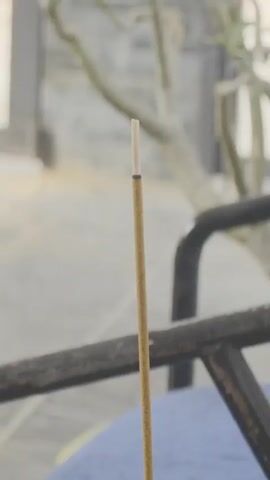 The video opens with a close-up shot of a single incense stick, featuring a white tip with a thin purple band.

The scene then broadens to reveal a peaceful outdoor or semi-outdoor setting, likely a garden or patio within the Bac Natural Heritage Area Trang, Vietnam. A rustic wooden table, possibly a tree slice, is the focal point. On it sits an ornate incense burner, a white porcelain base topped with a gold lotus flower, holding multiple incense sticks. One stick is actively burning, emitting a gentle wisp of smoke, contributing to a serene atmosphere. Alongside the burner, a traditional tea set is arranged: a white and blue lidded tea bowl (gaiwan), two clear glass cups (one empty, one containing some amber liquid), and a gold lighter. In the background, two chairs with blue cushions are visible, along with a blurred view of a gate and foliage, enhancing the natural, tranquil ambiance.

The final shot is a closer view of the tea preparation. Amber-colored tea is poured from an unseen vessel into one of the clear glass cups, creating small bubbles as it fills. The cup already contains some tea. A patterned fabric mat is placed under the cups on the wooden table. The activities suggest a calm moment of tea drinking and contemplation. No people are visible, and no text is present in the video.
