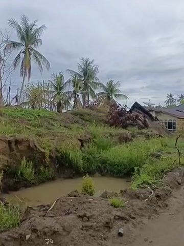 This video shows a view of a street in a village. The street is unpaved and appears to be muddy. There are houses on either side of the street, and some of the houses appear to be damaged or under construction. There are also palm trees and other vegetation visible in the scene. The sky is cloudy. There is no indication of any people or animals in the video.