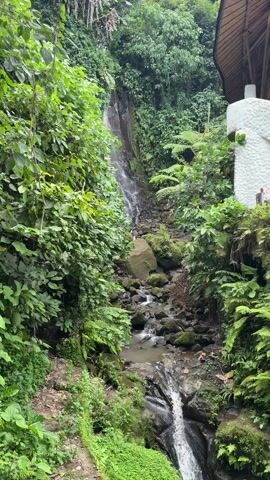 The video shows a view of a waterfall surrounded by lush green vegetation. The waterfall cascades down a rocky slope, eventually forming a stream flowing through the rocks and greenery. To the side, there is a structure with a white pillar and a wooden roof, possibly a building or part of a resort. The scene is dominated by the natural beauty of the waterfall and the surrounding tropical foliage. There is no one visible in the video.
