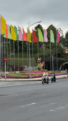 Everyday lake recreation captured around Da Lat's Xuân Hương area