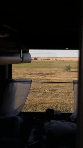 The video shows a view through a window, presumably from inside a vehicle or structure. The scene outside is a field of golden grass under a clear blue sky. In the distance, there are rows of crops and a few trees. A large, round bale of hay is visible in the middle of the field. The foreground is dark and out of focus, but appears to contain some objects, possibly personal belongings. There are also white curtains hanging inside the window. The camera is stationary.