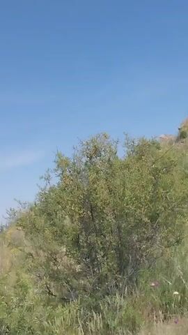 The video is a vertical, low-angle shot of a grassy hillside with scattered rocks and vegetation. The sky is clear and blue, with some wispy clouds. The camera pans slowly across the scene, revealing more of the rolling landscape. In the distance, a range of mountains can be seen under a cloudy sky. The overall impression is one of natural beauty and tranquility.