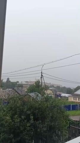 The video captures a view from a window looking out at a residential area under an overcast sky. Dense green foliage is prominent in the foreground. In the middle ground, the rooftops of houses and a utility pole with electrical wires are visible. The sky is a uniform, pale gray, suggesting it is either raining or the weather is generally gloomy. There are no people or specific actions depicted in the video; it is a static shot of the environment.