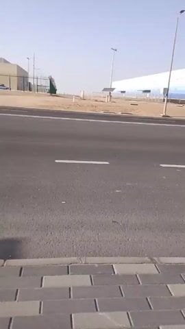 The video shows a view from a sidewalk, looking across an empty road at a large white building. The sky is clear and blue. The road is paved with dark asphalt and has white lane markings. The sidewalk is made of gray rectangular pavers. Shadows from light poles fall across the sidewalk and road. There are streetlights and signs along the road. Some sparse greenery is visible on the side of the road near the building.  The video appears to be a static shot, with no discernible movement other than the gradual shift in perspective.