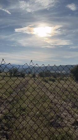 Rural landscape documented near Strelcha, Bulgaria during morning hours