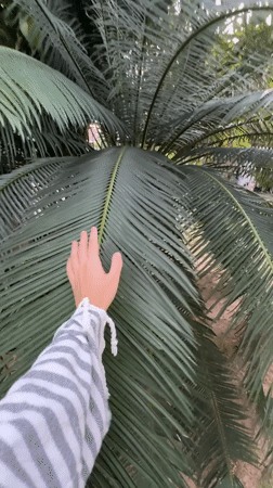 Hand brushing palm leaves in Baan Mae Nam, Thailand