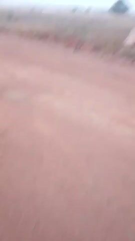 The camera pans from right to left, showcasing a rural landscape. In the foreground, there's a large tree with white bark and sparse green leaves. The tree stands beside a reddish-brown dirt road. Beyond the tree, the ground is covered in dry, yellow grass and sparse vegetation. In the distance, there are structures that appear to be buildings, and a few more trees. The sky is overcast, creating a hazy, muted atmosphere. Power lines run horizontally across the upper part of the frame. The overall impression is of a somewhat desolate, rural scene.