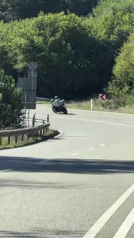 A group of motorcyclists are riding on a winding road through a forest. The road has guardrails on the left and a curve warning sign on the right. The sun is shining and there are trees on both sides of the road. One motorcyclist is wearing a green jacket, while another is wearing a white helmet. The motorcyclists are leaning into the turns.