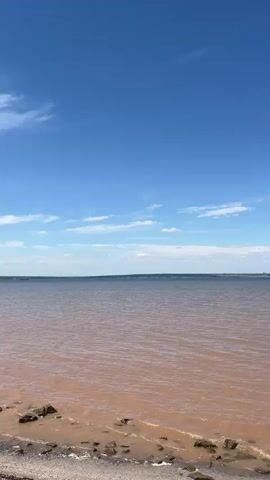 A wide shot of a body of water under a bright blue sky. The water is a murky reddish-brown near the shore, transitioning to a darker blue-gray towards the horizon. The sky is clear with a few wispy white clouds. The shore is visible in the foreground, with rocks and debris. The horizon is flat and indistinct, suggesting a vast expanse of water. There are no people or discernible objects in the water or on the shore. The scene appears calm and natural.