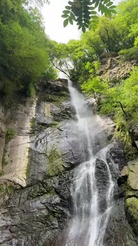 A vertical video captures a tall waterfall cascading down a rocky cliff face. Lush green trees and foliage surround the top and sides of the cliff, with branches extending into the frame from the top left. The water flows in a white, frothy stream, broken by sections of the rough, grey rock. Patches of green moss and lichen are visible on the rocks, indicating a damp environment. The sky is overcast and white, suggesting a cloudy day. The overall impression is one of a natural, secluded, and verdant landscape.