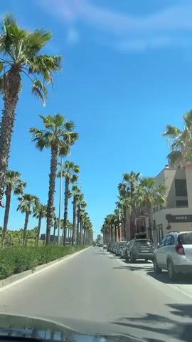 The video shows a drive down a street lined with tall palm trees on both sides under a bright blue sky with scattered clouds. Cars are parked along the right side of the road. Buildings are visible behind the palm trees on the right. The view is from inside a car, looking straight ahead.