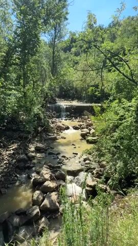 The video shows a creek flowing through a green, forested area. The water is a murky tan color and is flowing over rocks and a small, concrete dam-like structure further upstream. Trees are visible along both sides of the creek, and the sky is blue. The camera is stationary.