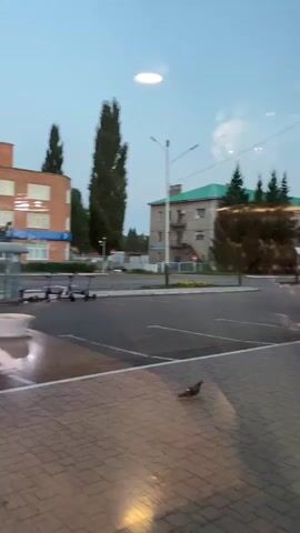 The video shows a view through a window, looking out onto a street or plaza. In the foreground, a paved walkway made of light-colored rectangular bricks is visible. A pigeon is walking on the walkway. Further in the background, there is a street with parking spaces. Several electric scooters are parked near a building on the left side of the frame. Across the street, there are several multi-story buildings with trees in front of them. The sky is overcast. The overall impression is an urban or suburban setting, possibly during the early morning or late evening due to the lighting.