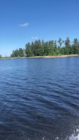 The video shows a first-person view from a boat moving across a body of water. The water is dark blue and has small ripples on its surface, with white foam visible on the right side of the screen, indicating the boat's wake. On the left side of the screen, the shoreline is visible, featuring a dense forest with various trees and some tall grass or reeds along the water's edge. The sky is clear and bright blue with a few scattered white clouds. The overall scene suggests a sunny day on a lake or a calm river. The camera pans slightly to the right, showing more of the forest and the open water.