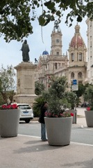Valencia street scene features decorative planters with flowering displays